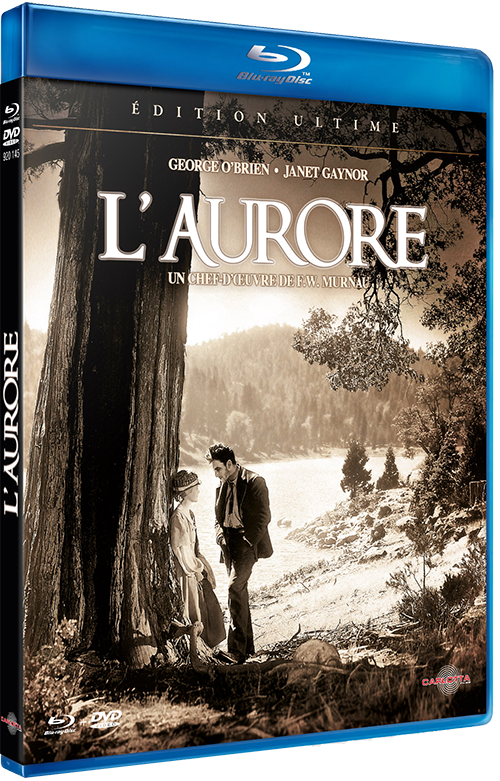 L'AURORE
