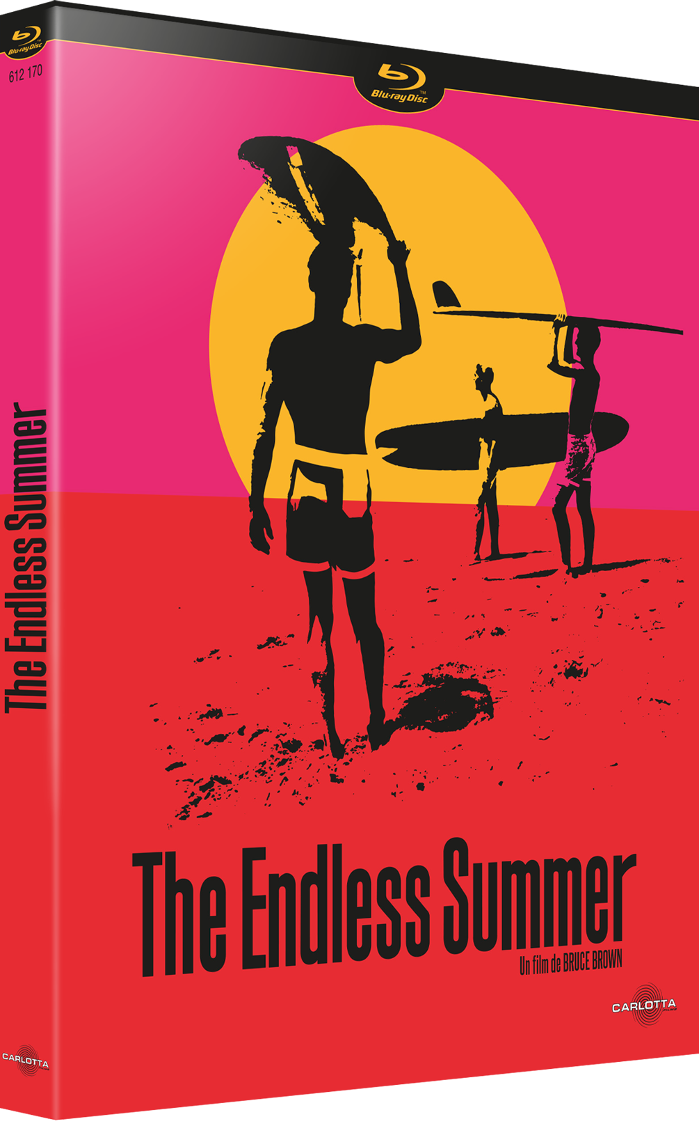 THE ENDLESS SUMMER