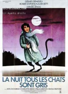 LA NUIT TOUS LES CHATS SONT GRIS
