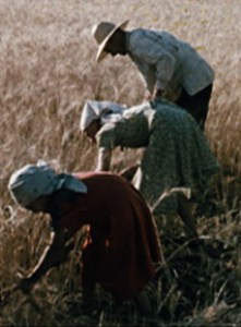 CINEMA-PARABOLE D'OR